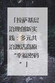 拉萨基层治理创新实践：多元共治激活高原“幸福密码”