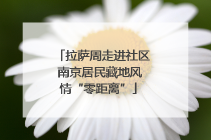 拉萨周走进社区 南京居民藏地风情“零距离”