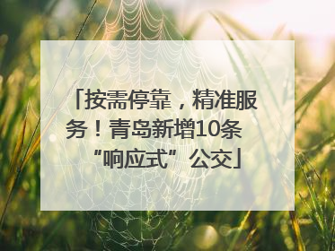 按需停靠，精准服务！青岛新增10条“响应式”公交