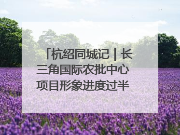 杭绍同城记｜长三角国际农批中心项目形象进度过半，华东“菜篮子”建设加码提速！