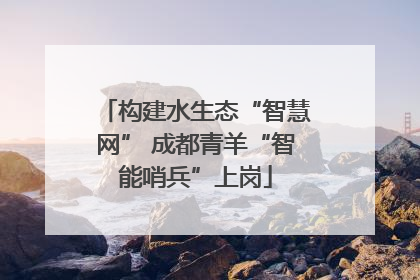 构建水生态“智慧网” 成都青羊“智能哨兵”上岗