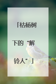 枯杨树下的“解铃人”