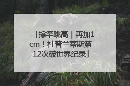 撑竿跳高｜再加1cm！杜普兰蒂斯第12次破世界纪录