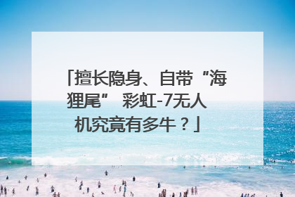 擅长隐身、自带“海狸尾” 彩虹-7无人机究竟有多牛？