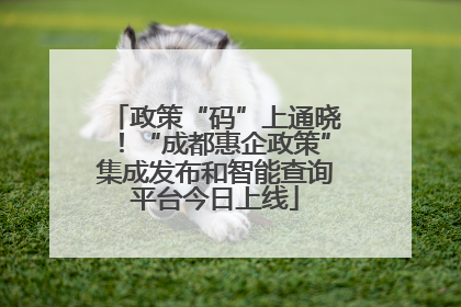 政策“码”上通晓！“成都惠企政策”集成发布和智能查询平台今日上线