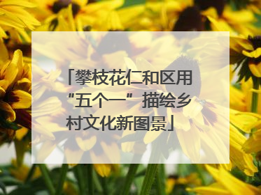 攀枝花仁和区用“五个一”描绘乡村文化新图景