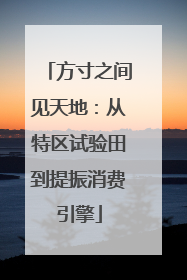 方寸之间见天地：从特区试验田到提振消费引擎