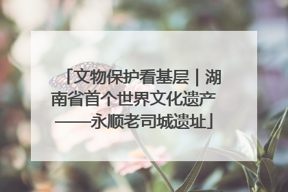 文物保护看基层｜湖南省首个世界文化遗产——永顺老司城遗址