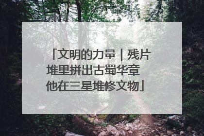文明的力量｜残片堆里拼出古蜀华章 他在三星堆修文物