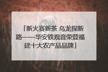 新火赛新茶 乌龙探新路——华安铁观音荣登福建十大农产品品牌