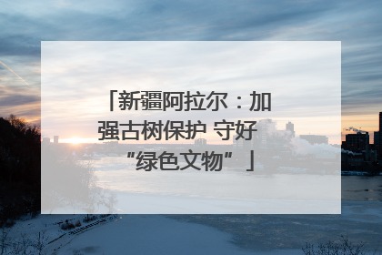 新疆阿拉尔：加强古树保护 守好“绿色文物”