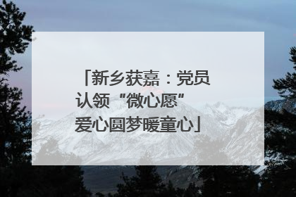 新乡获嘉：党员认领“微心愿” 爱心圆梦暖童心