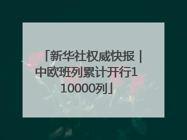 新华社权威快报｜中欧班列累计开行110000列