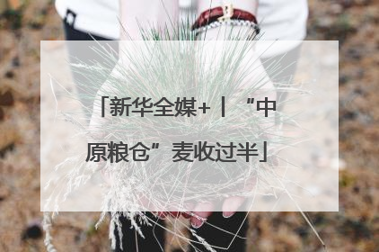 新华全媒+丨“中原粮仓”麦收过半
