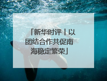 新华时评丨以团结合作共促南海稳定繁荣