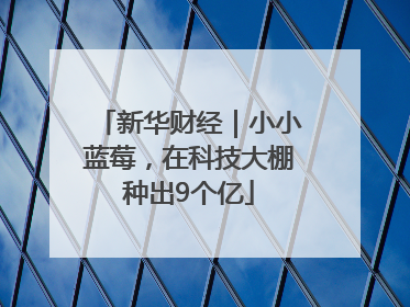 新华财经｜小小蓝莓，在科技大棚种出9个亿