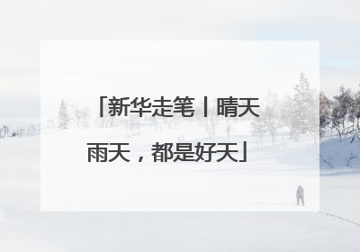 新华走笔丨晴天雨天，都是好天