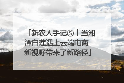 新农人手记⑤丨当湘潭白莲遇上云端电商 新视野带来了新路径
