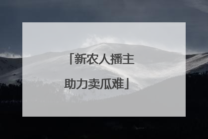 新农人播主 助力卖瓜难