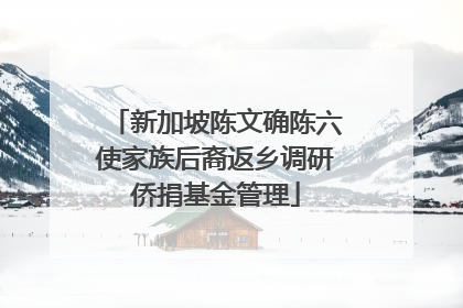新加坡陈文确陈六使家族后裔返乡调研侨捐基金管理