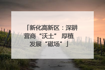 新化高新区：深耕营商“沃土” 厚植发展“磁场”