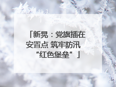 新晃：党旗插在安置点 筑牢防汛“红色堡垒”