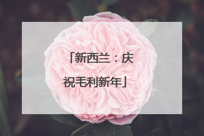 新西兰：庆祝毛利新年