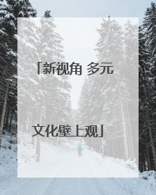 新视角 多元文化壁上观