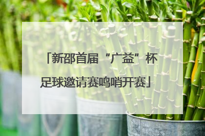 新邵首届“广益”杯足球邀请赛鸣哨开赛