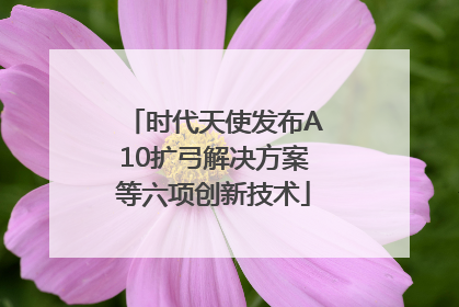 时代天使发布A10扩弓解决方案等六项创新技术