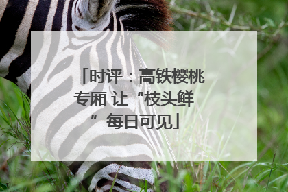 时评：高铁樱桃专厢 让“枝头鲜”每日可见