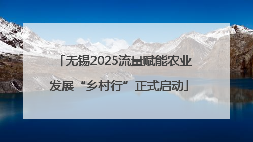 无锡2025流量赋能农业发展“乡村行”正式启动