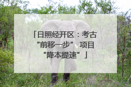 日照经开区：考古“前移一步” 项目“降本提速”
