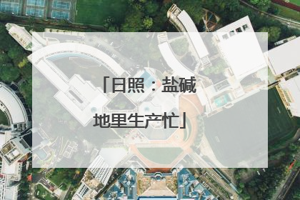 日照：盐碱地里生产忙