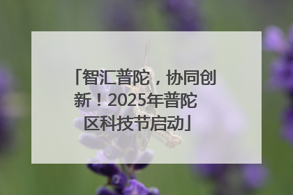 智汇普陀，协同创新！2025年普陀区科技节启动