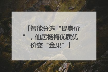 智能分选“提身价”，仙居杨梅优质优价变“金果”