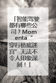智能驾驶都有哪些公司？Momenta“穿行桥底迷宫”无法不令人印象深刻！