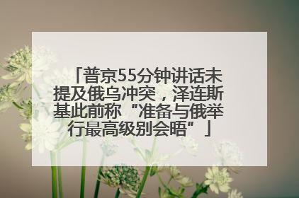 普京55分钟讲话未提及俄乌冲突，泽连斯基此前称“准备与俄举行最高级别会晤”