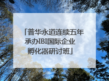 普华永道连续五年承办IBI国际企业孵化器研讨班