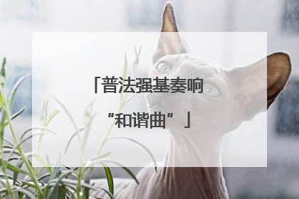 普法强基奏响“和谐曲”