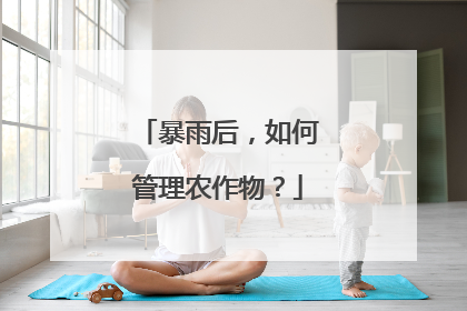 暴雨后，如何管理农作物？