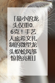 最小的龙头仅重0.6克！手艺人庞希文扎制的微型龙头蜈蚣风筝惊艳亮相