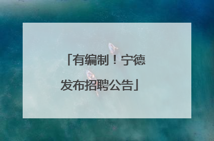 有编制！宁德发布招聘公告