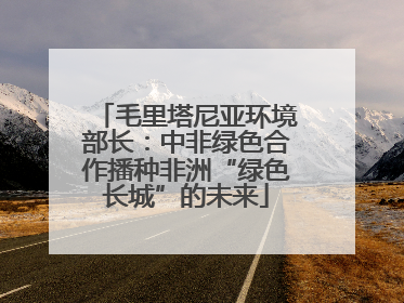 毛里塔尼亚环境部长：中非绿色合作播种非洲“绿色长城”的未来