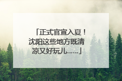 正式官宣入夏！沈阳这些地方既清凉又好玩儿……