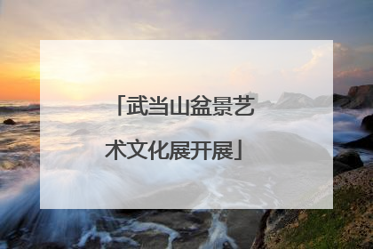 武当山盆景艺术文化展开展