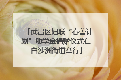 武昌区妇联“春蕾计划”助学金捐赠仪式在白沙洲街道举行