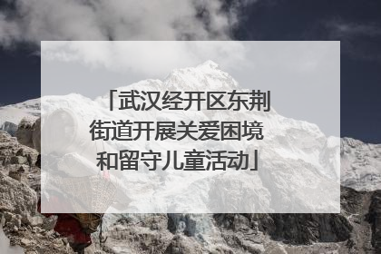 武汉经开区东荆街道开展关爱困境和留守儿童活动