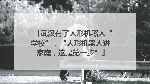 武汉有了人形机器人“学校”，“人形机器人进家庭，这是第一步”
