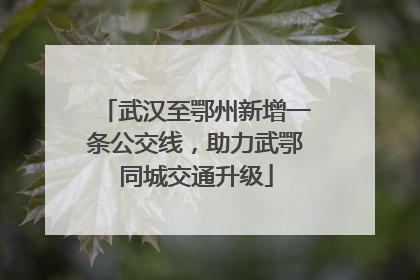 武汉至鄂州新增一条公交线，助力武鄂同城交通升级